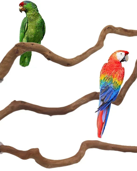 nestwood-vine-perch