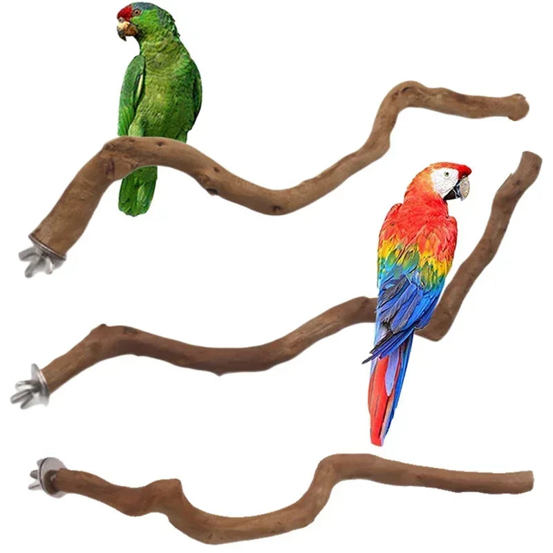 nestwood-vine-perch