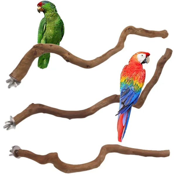 nestwood-vine-perch