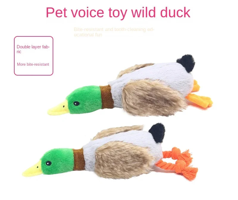 Mastiquack Sound