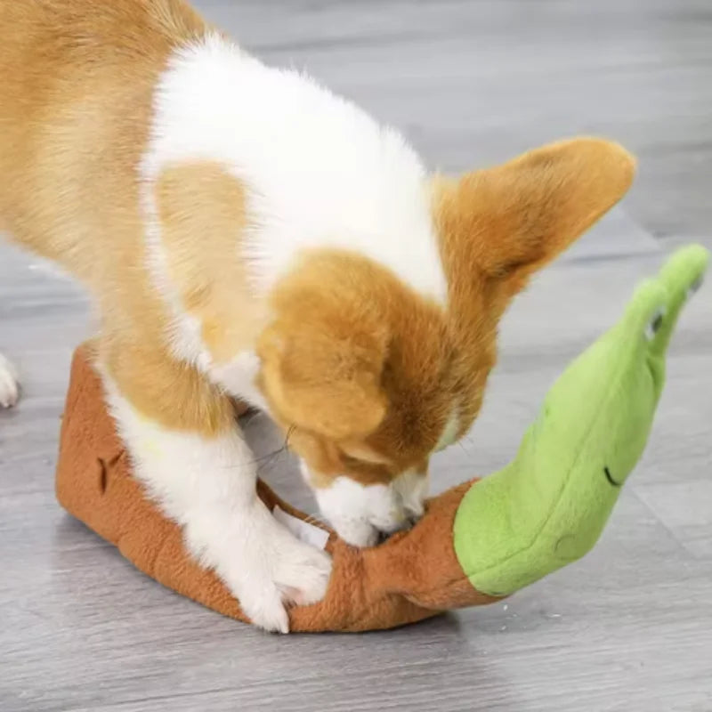 SniffyShell Play Mat