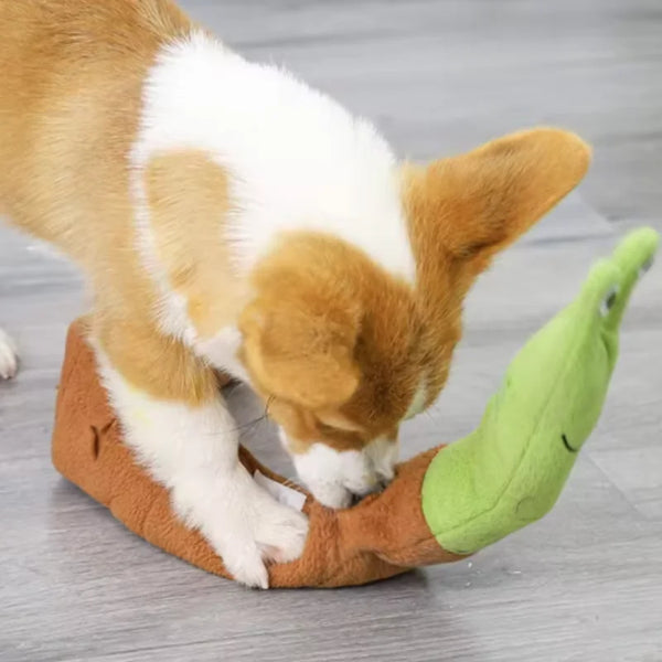 SniffyShell Play Mat
