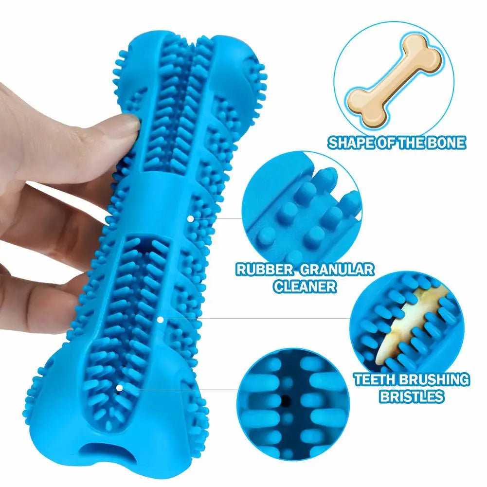 Denticlean – Healthy teeth, playful fun!