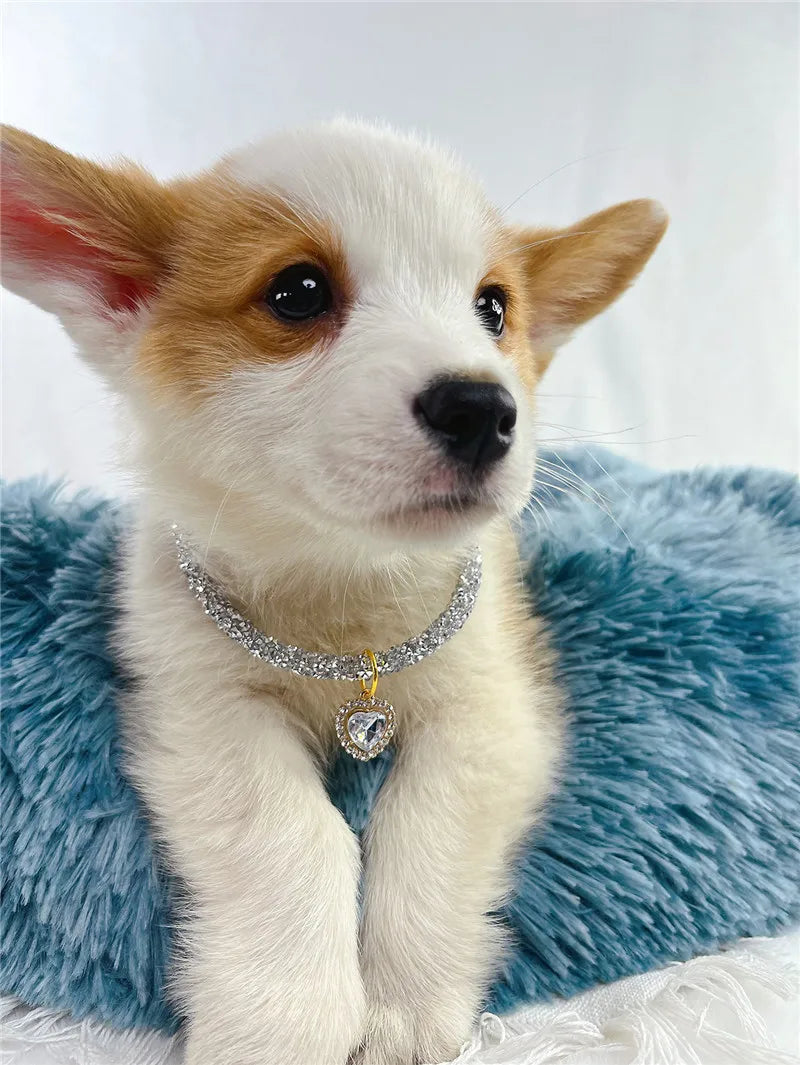 Aurora Heart Collar