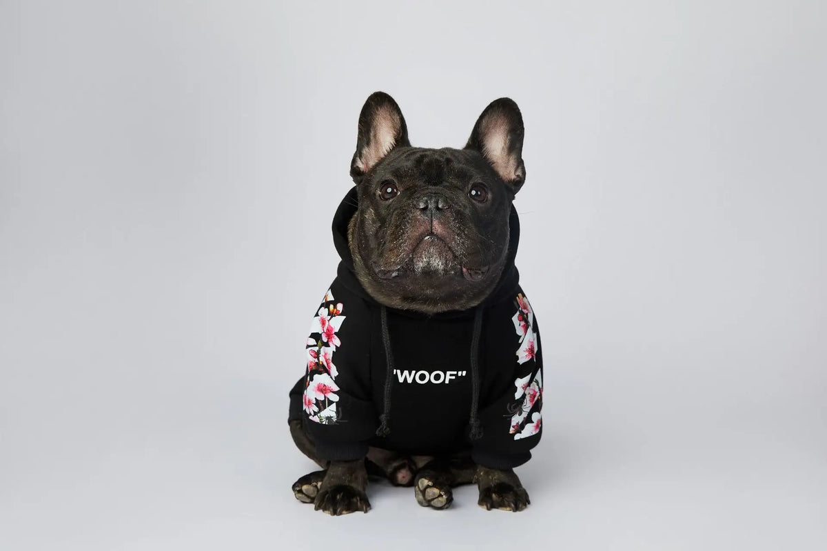 Cozybark – Premium Front-Leg Hoodie for Pets