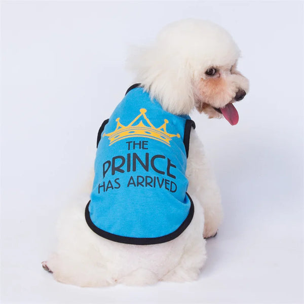 Majesty Paws Collection