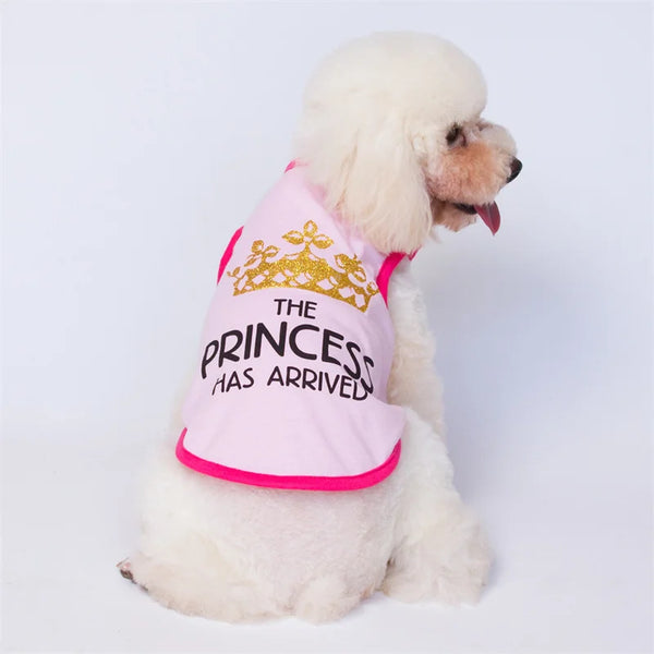 Majesty Paws Collection