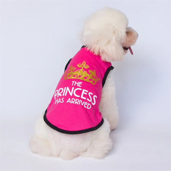 Majesty Paws Collection