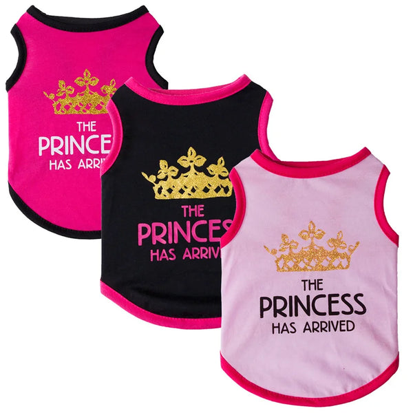 Majesty Paws Collection