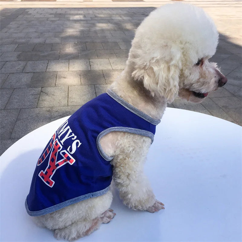 Majesty Paws Collection