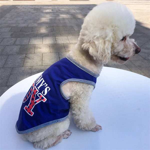 Majesty Paws Collection