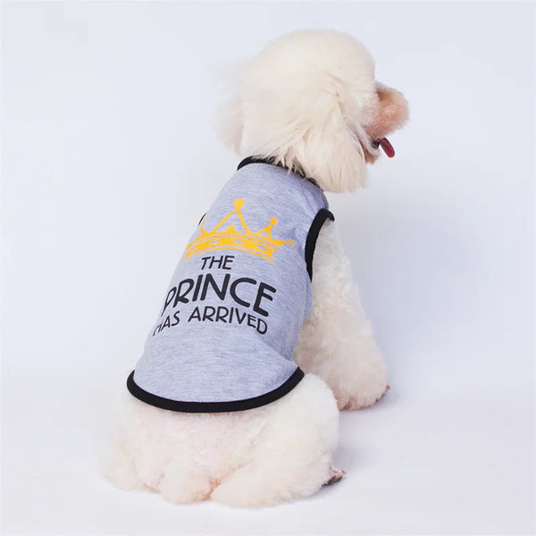 Majesty Paws Collection