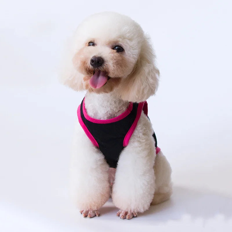 Majesty Paws Collection