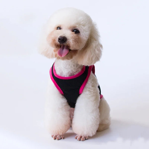 Majesty Paws Collection