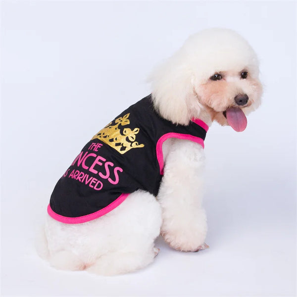 Majesty Paws Collection