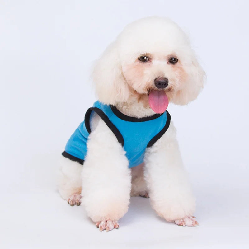 Majesty Paws Collection
