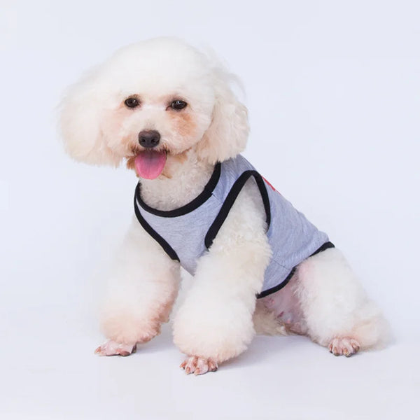 Majesty Paws Collection