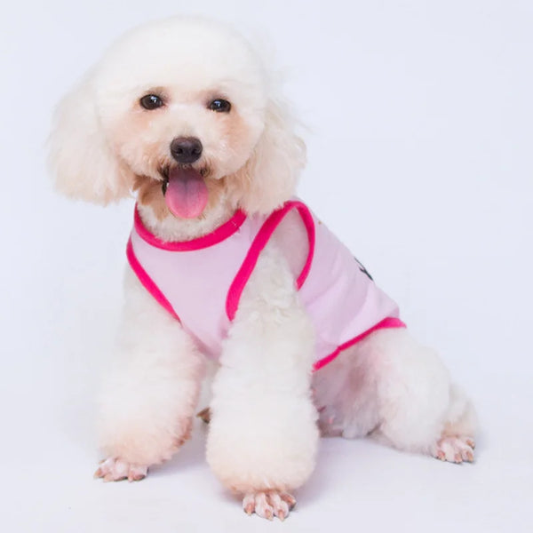 Majesty Paws Collection