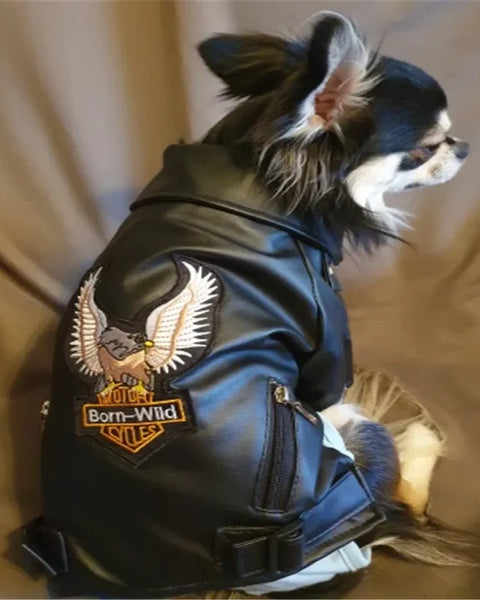 Stylish waterproof PU leather dog jacket with eagle pattern. Keeps small dogs and puppies warm, comfortable, and protected during outdoor walks and winter adventures
