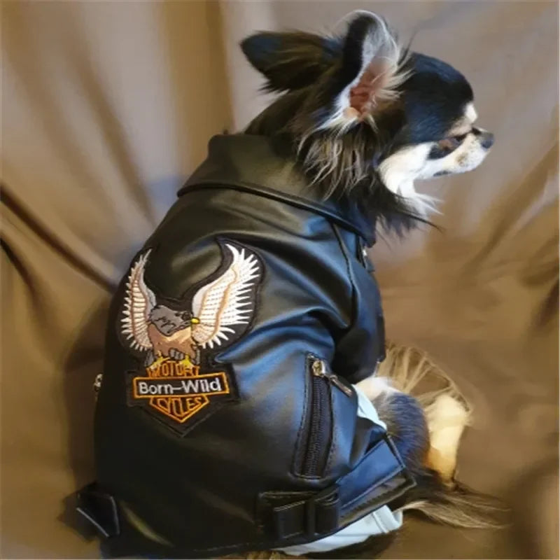 Stylish waterproof PU leather dog jacket with eagle pattern. Keeps small dogs and puppies warm, comfortable, and protected during outdoor walks and winter adventures