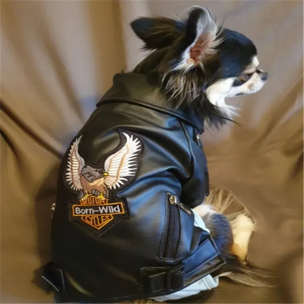 Stylish waterproof PU leather dog jacket with eagle pattern. Keeps small dogs and puppies warm, comfortable, and protected during outdoor walks and winter adventures