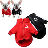 Stylish winter dog jacket for small and medium breeds. Soft polyester baseball jacket for puppies, Chihuahuas, Pugs, and French Bulldogs. Keeps dogs warm and comfortable during cold weather