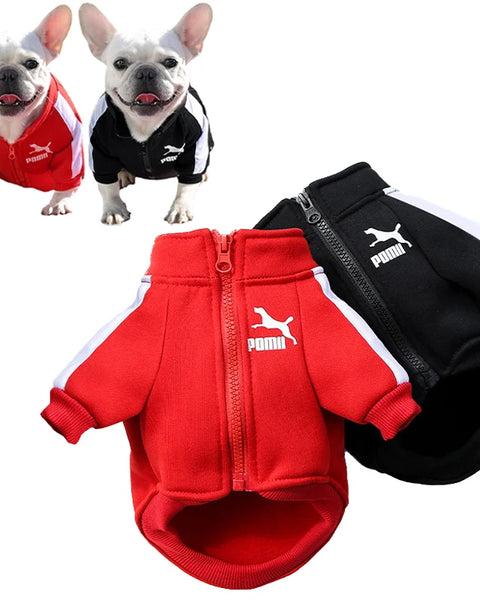 Stylish winter dog jacket for small and medium breeds. Soft polyester baseball jacket for puppies, Chihuahuas, Pugs, and French Bulldogs. Keeps dogs warm and comfortable during cold weather