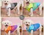 Dog wearing warm winter vest with thick fleece lining – small, medium, and large breeds