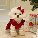 Cute Winter Princess Dog Dress – Perfect for Christmas & Small Puppies