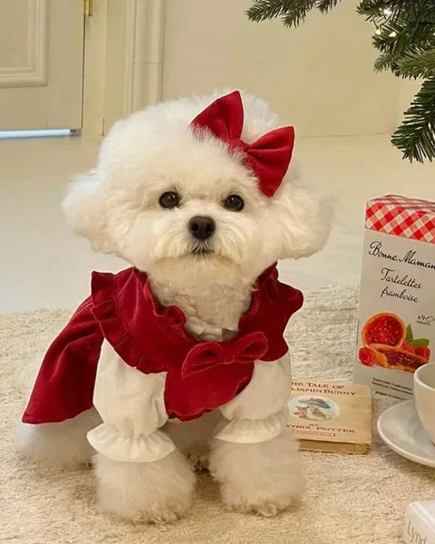 Cute Winter Princess Dog Dress – Perfect for Christmas & Small Puppies