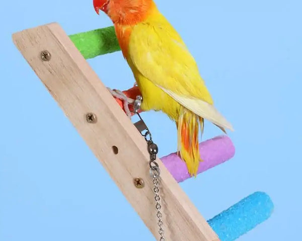 Original wooden bird climbing ladder and exercise rack, safe and durable, promotes physical activity, mental enrichment, and interactive play for parrots, cockatiels, parakeets, and small birds.