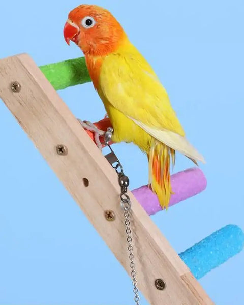 Original wooden bird climbing ladder and exercise rack, safe and durable, promotes physical activity, mental enrichment, and interactive play for parrots, cockatiels, parakeets, and small birds.