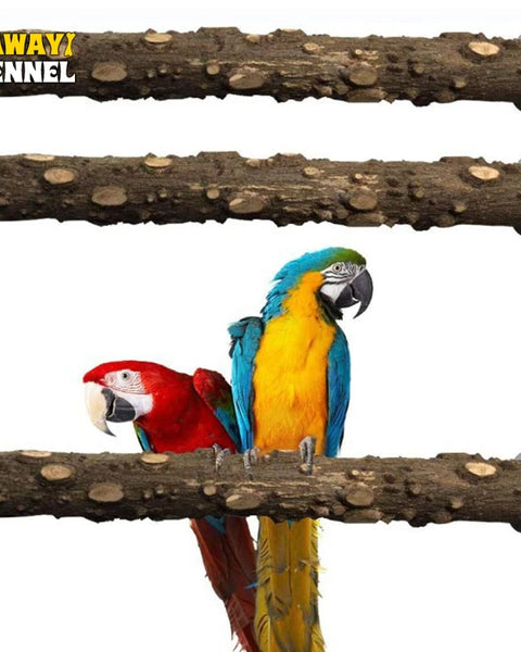 Natural wood and emery bird perch for parrots, parakeets, and cockatiels. Helps maintain healthy claws and beaks while providing a safe, comfortable, and enriching perch inside the cage.