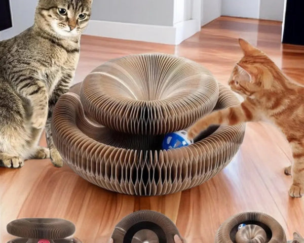 Original cat interactive toy with scratching pad, climbing frame, and ball track, durable and eco-friendly, for exercise and claw care.