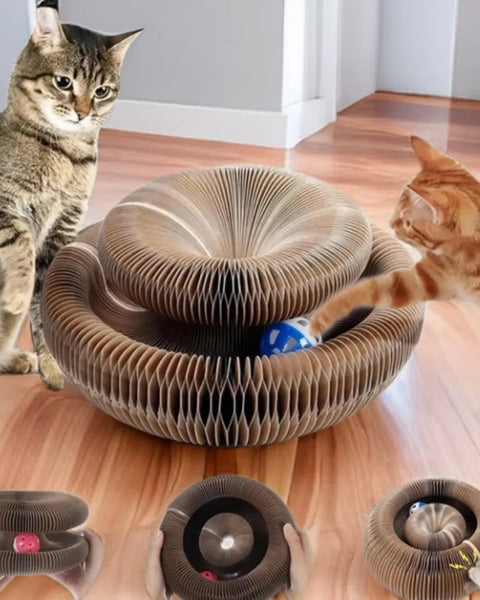 Original cat interactive toy with scratching pad, climbing frame, and ball track, durable and eco-friendly, for exercise and claw care.
