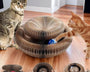 Original cat interactive toy with scratching pad, climbing frame, and ball track, durable and eco-friendly, for exercise and claw care.