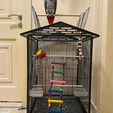 Original colorful wooden bird ladder and swing for small parrots, parakeets, and cockatiels, safe climbing, playing, and resting accessory.