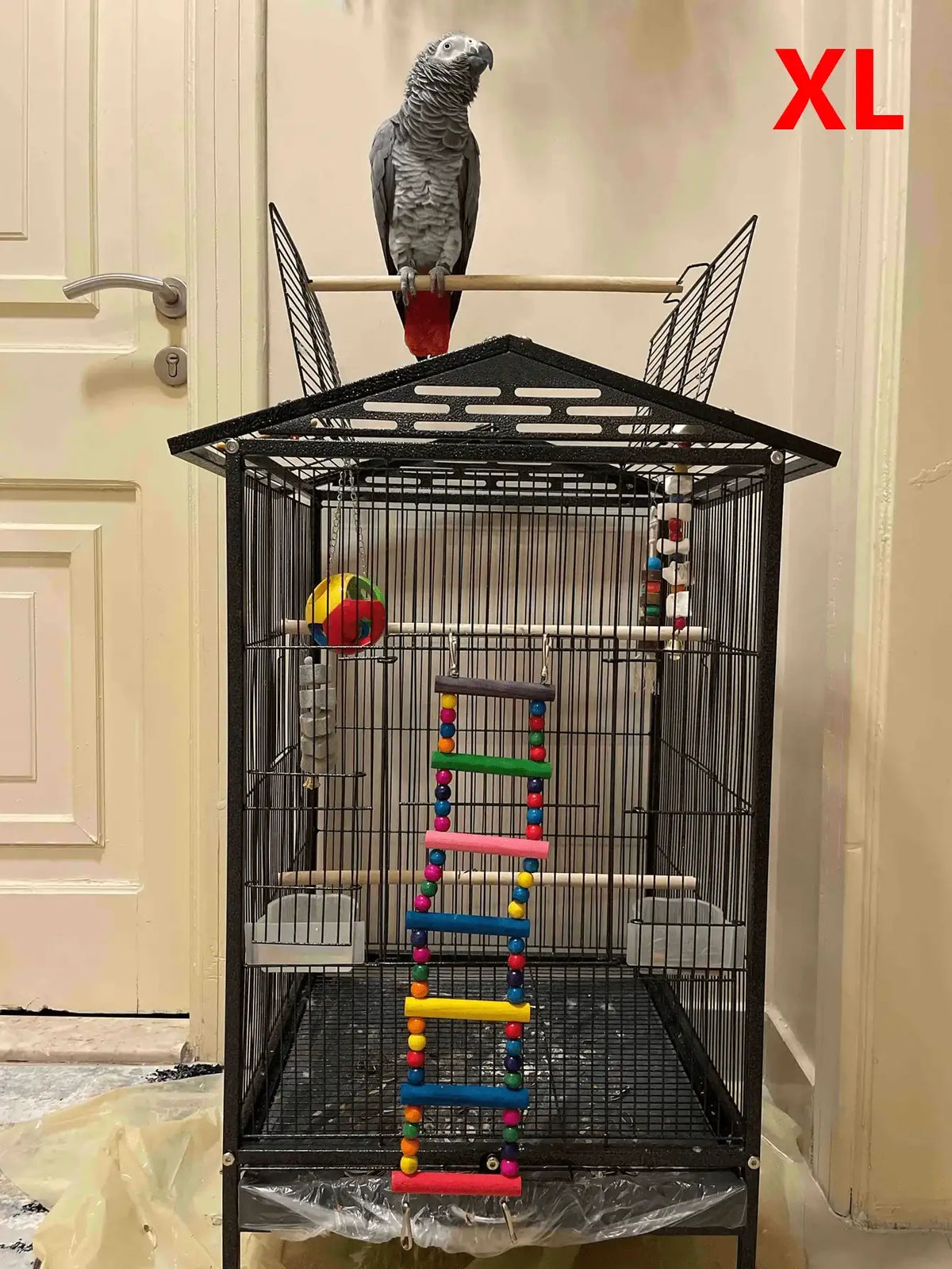 Original colorful wooden bird ladder and swing for small parrots, parakeets, and cockatiels, safe climbing, playing, and resting accessory.
