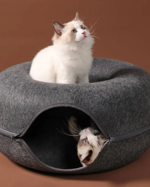 Cozy felt cat tunnel and bed for 1-2 cats. Soft, durable, and multifunctional design provides comfort, play, and interactive hiding space. Easy to clean, split into separate beds, and suitable for multi-cat households.