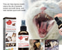Original dog and cat dental spray, bad breath remover, tartar control, plaque reduction, healthy gums, easy oral care, 30ml.