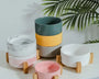 Elevated ceramic pet bowl with wooden frame for dogs and cats, promoting healthy posture and comfortable feeding"