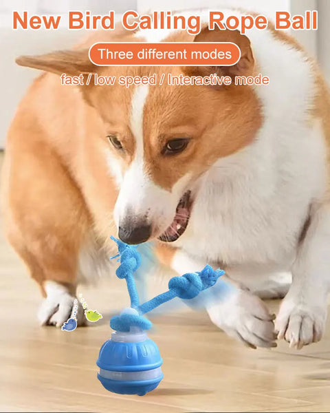 Keep small and medium dogs active, healthy, and entertained with a durable, motion-activated ball. USB rechargeable with three play modes, quiet operation, and ergonomic design for tugging, chasing, and interactive indoor play. Promotes physical exercise, mental stimulation, and reduces boredom or destructive behavior.