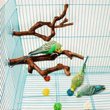 Original natural grapevine bird perch for parrots, cockatiels, parakeets, lovebirds, safe chew, climbing, and resting accessory.