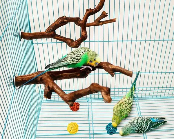 Original natural grapevine bird perch for parrots, cockatiels, parakeets, lovebirds, safe chew, climbing, and resting accessory.
