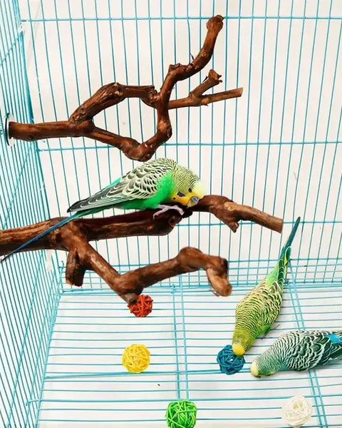 Original natural grapevine bird perch for parrots, cockatiels, parakeets, lovebirds, safe chew, climbing, and resting accessory.