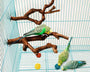 Original natural grapevine bird perch for parrots, cockatiels, parakeets, lovebirds, safe chew, climbing, and resting accessory.