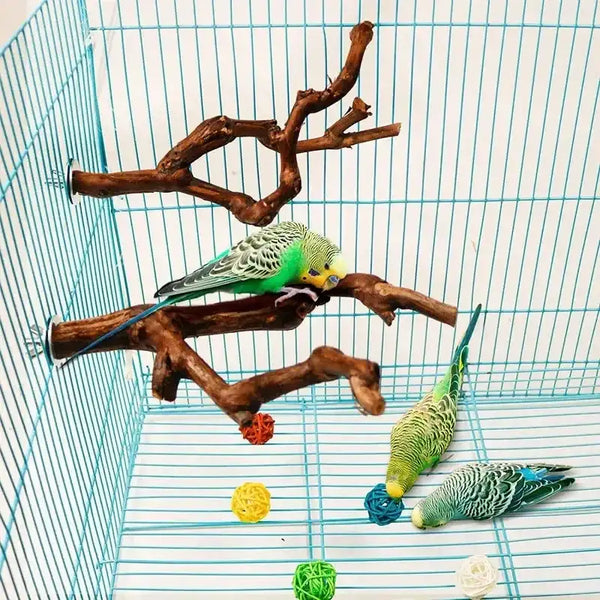 Original natural grapevine bird perch for parrots, cockatiels, parakeets, lovebirds, safe chew, climbing, and resting accessory.
