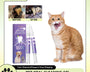 Safe and original pet dental gel for dogs and cats, removes stains, tartar, and bad breath, promotes healthy gums, and supports oral hygiene with natural ingredients.