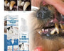 Original pet tartar remover for dogs and cats, plaque and tartar removal, maintaining fresh breath and healthy gums.