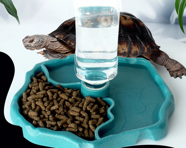 Original reptile feeding bowl, safe and durable pet food and water dish for turtles, lizards, and amphibians, easy to clean and practical.